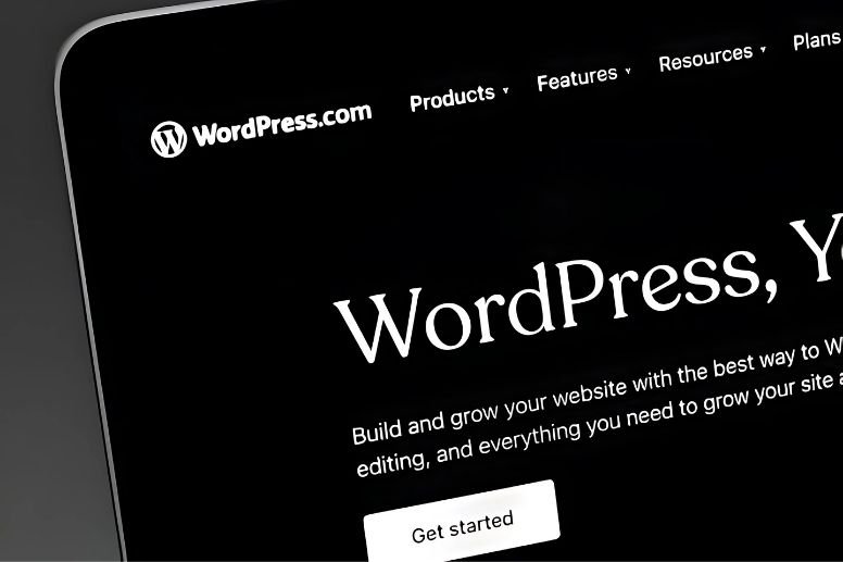 Custom WordPress website design and development by Digital Omnicon for USA clients.